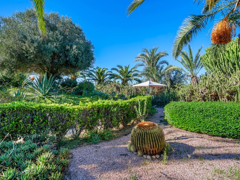 Country House for Sale in Los Montesinos, Alicante 43