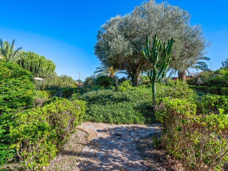 Country House for Sale in Los Montesinos, Alicante 44