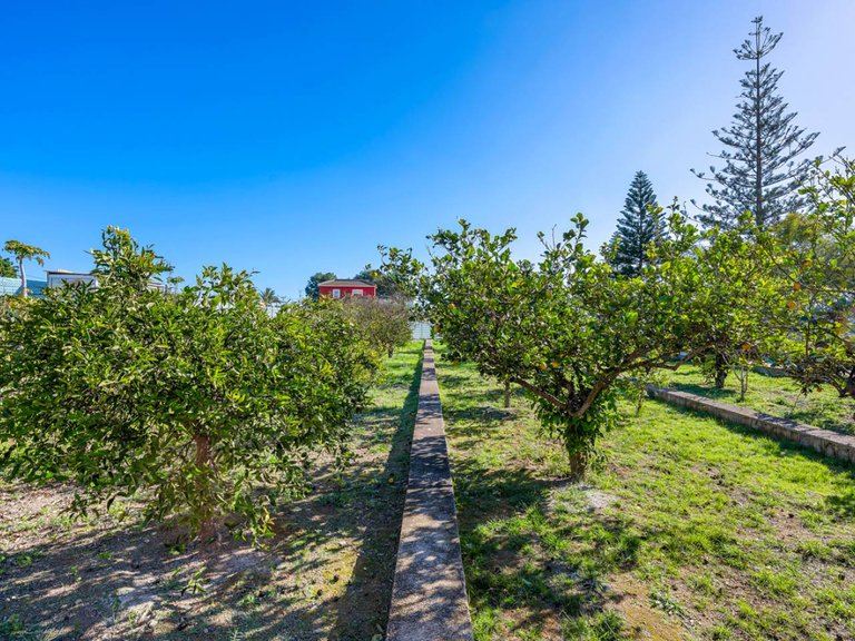 Country House for Sale in Los Montesinos, Alicante, 25