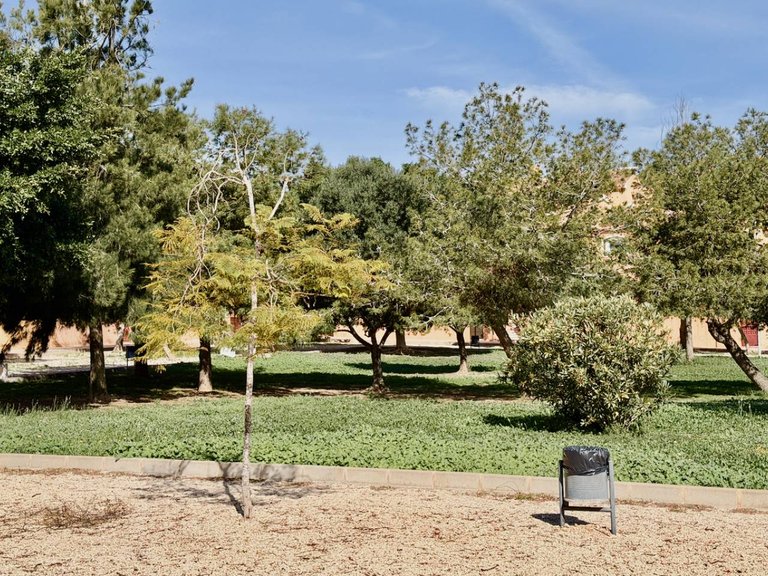 Apartment for Sale in Torrevieja, Alicante, 17