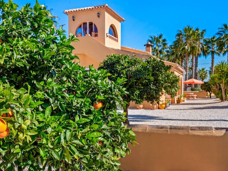 Country House for Sale in Rafal, Alicante, 38