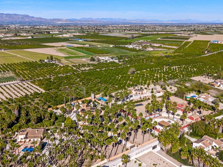 Country House for Sale in Rafal, Alicante, 45