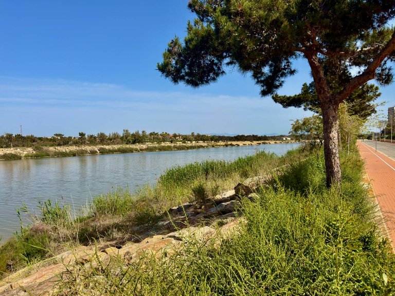 Apartment for Sale in Guardamar Del Segura, Alicante, 13