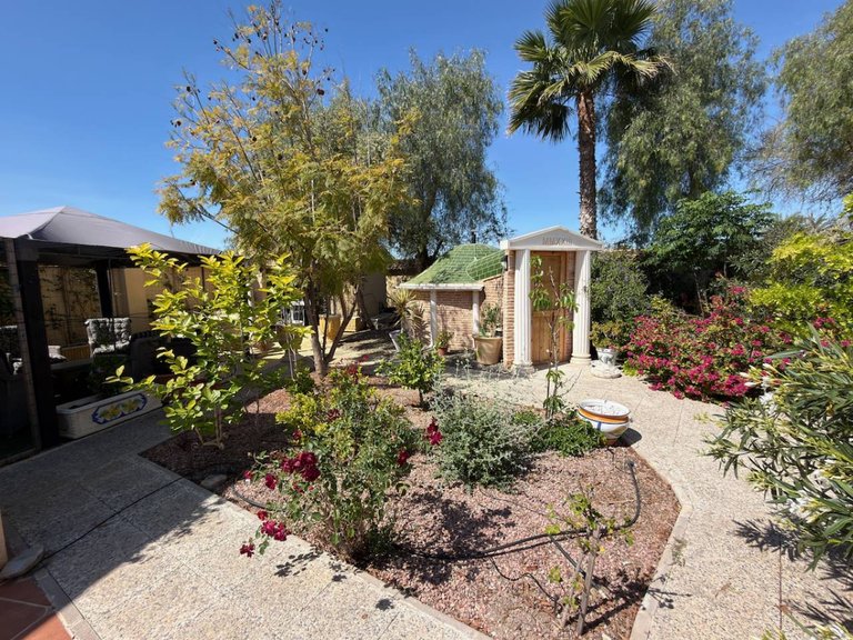 Country House for Sale in Catral, Alicante 25