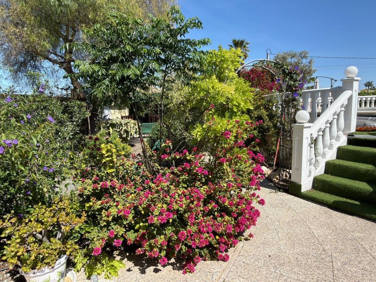 Country House for Sale in Catral, Alicante 30