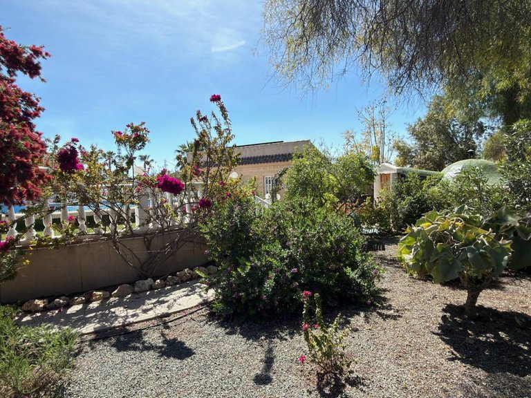 Country House for Sale in Catral, Alicante 34