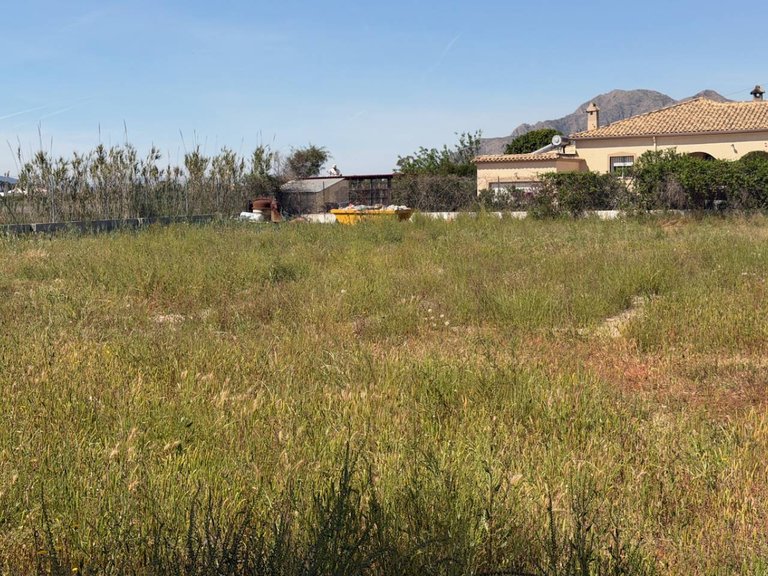 Country House for Sale in Catral, Alicante 37
