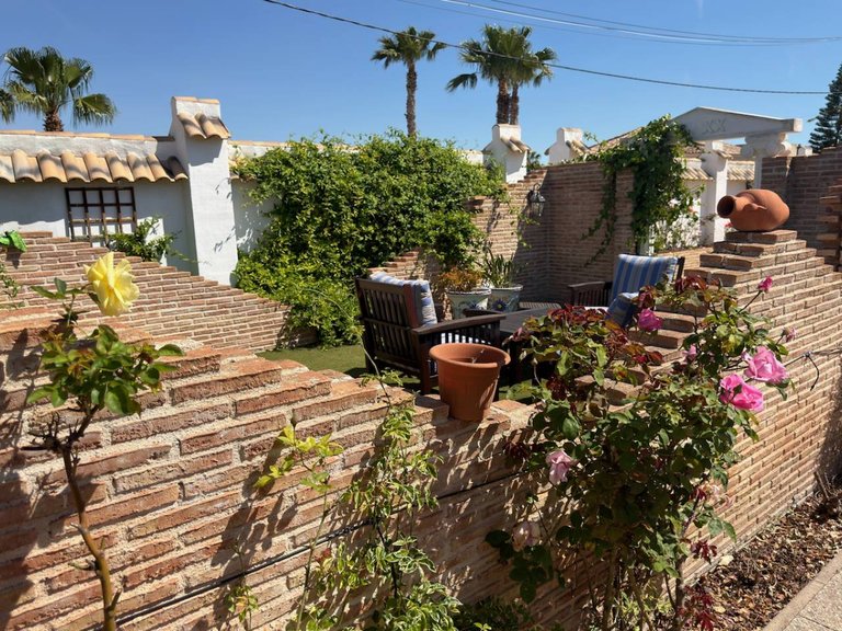 Country House for Sale in Catral, Alicante 38