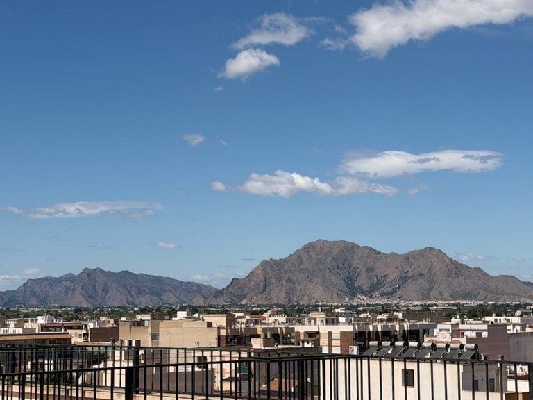 Apartment for Sale in Almoradí, Alicante 14