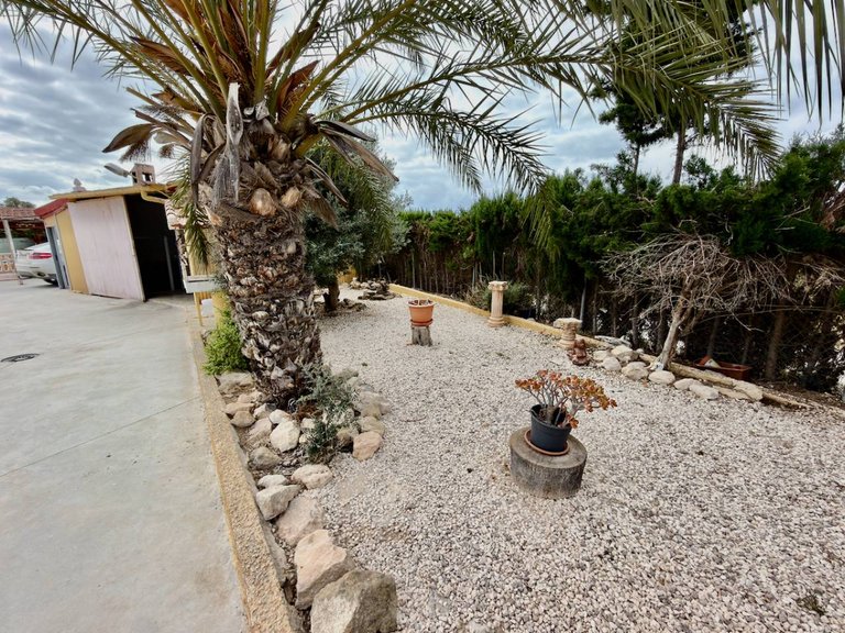 Country House for Sale in San Fulgencio, Alicante 12