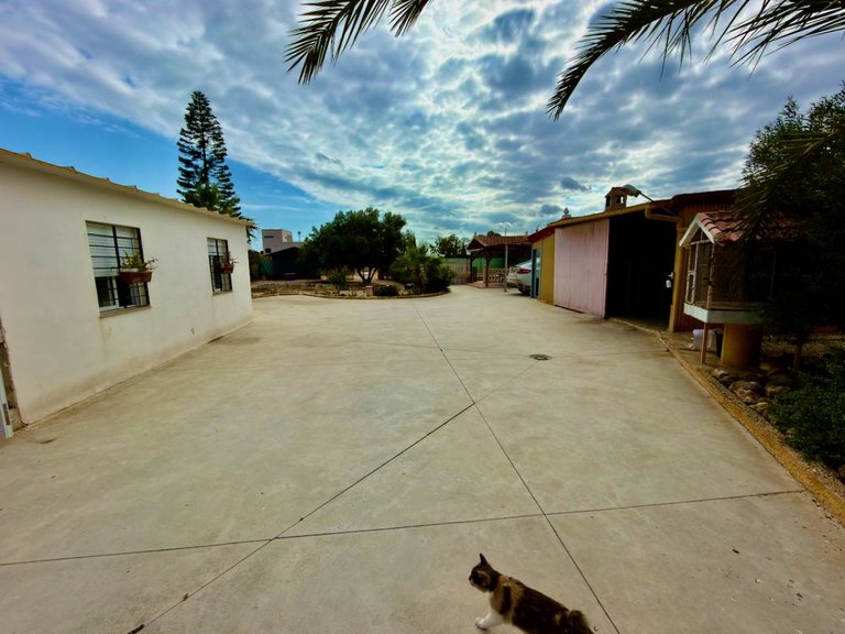 Country House for Sale in San Fulgencio, Alicante 13