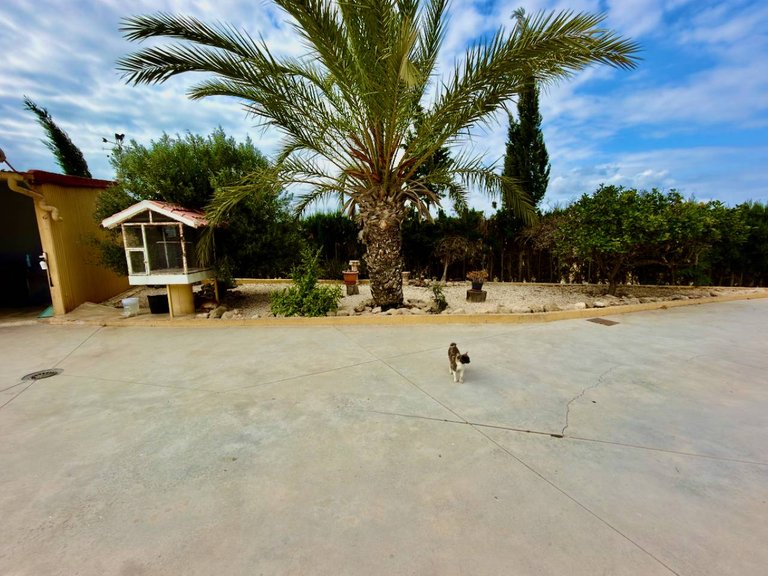 Country House for Sale in San Fulgencio, Alicante 14