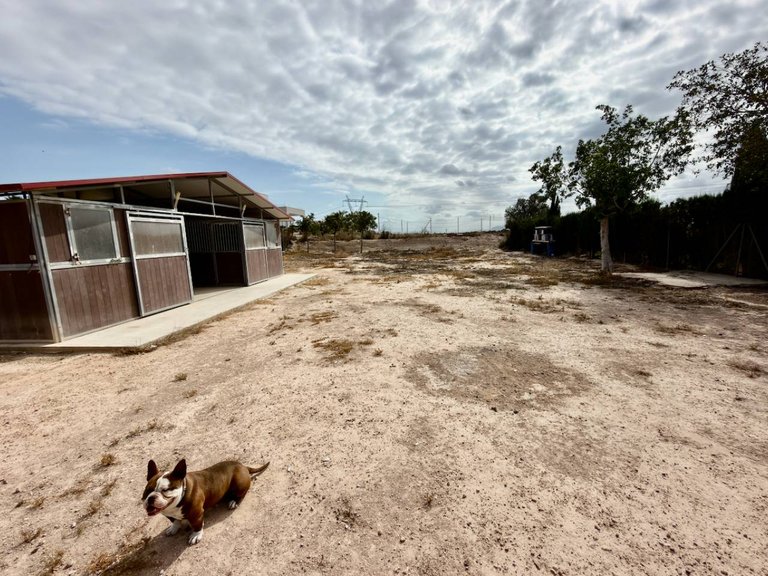 Country House for Sale in San Fulgencio, Alicante 25