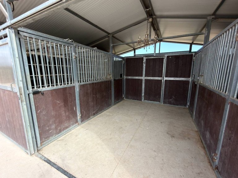 Country House for Sale in San Fulgencio, Alicante 26