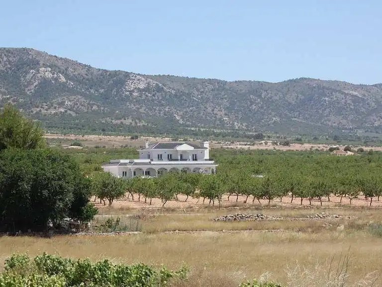 Villa for Sale in Pinoso, Alicante 14