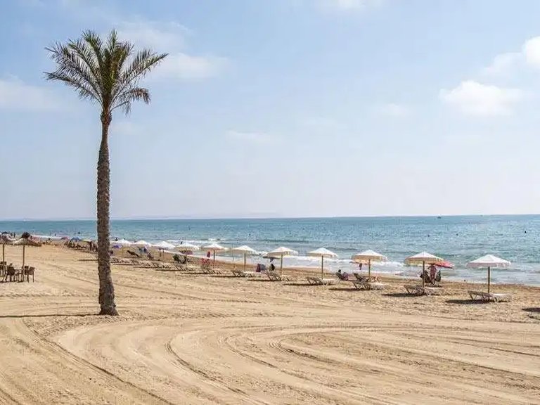 Penthouse for Sale in Guardamar Del Segura, Alicante 15