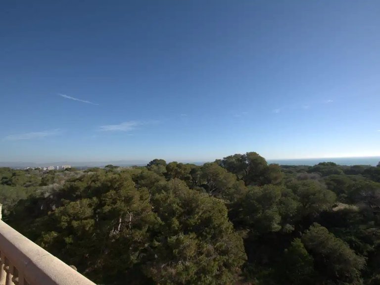 Penthouse for Sale in Guardamar Del Segura, Alicante 14