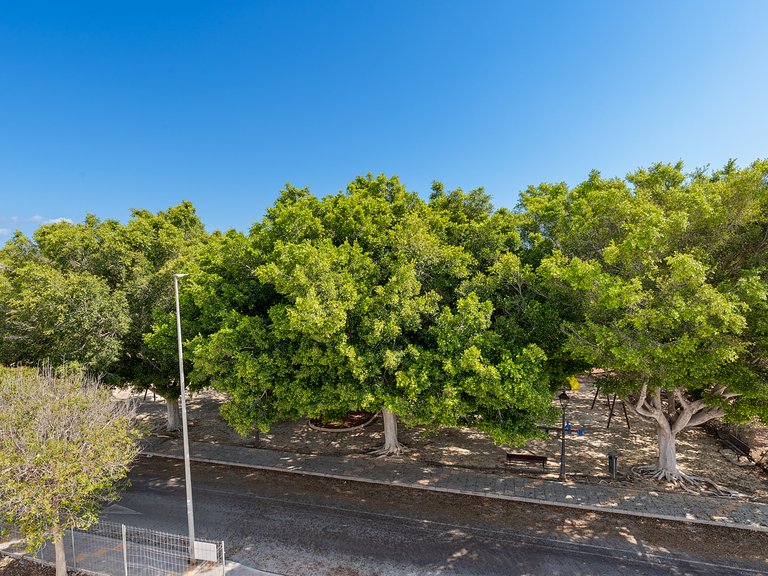 Town House for Sale in Pilar De La Horadada, Alicante 20