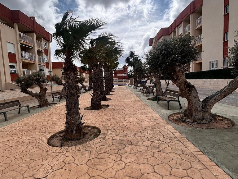 Apartment for Sale in Orihuela, Alicante 11