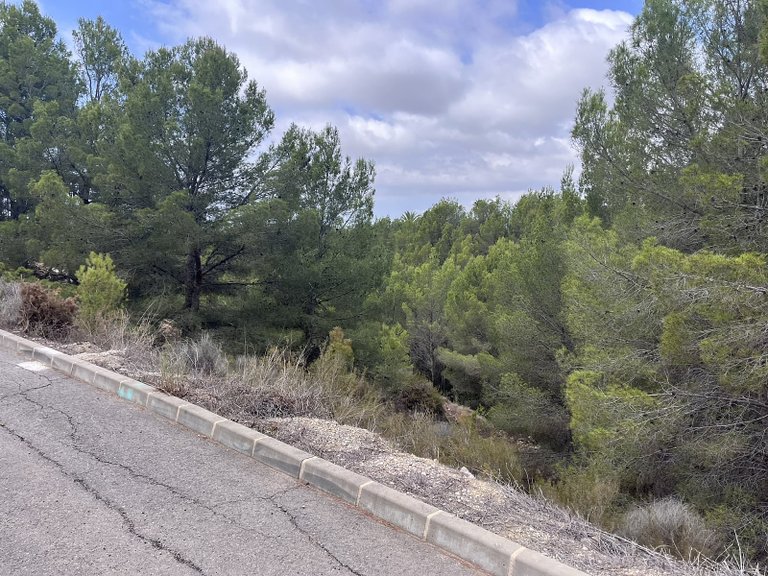 Plot for Sale in Altea, Alicante 3