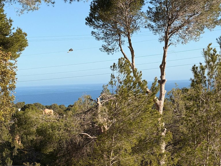 Plot for Sale in Altea, Alicante 3