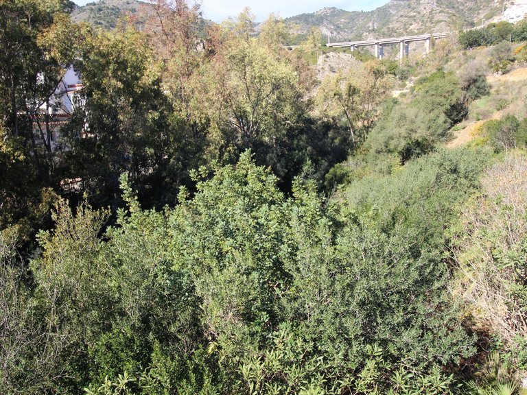Plot for Sale in Benalmádena, Malaga 3