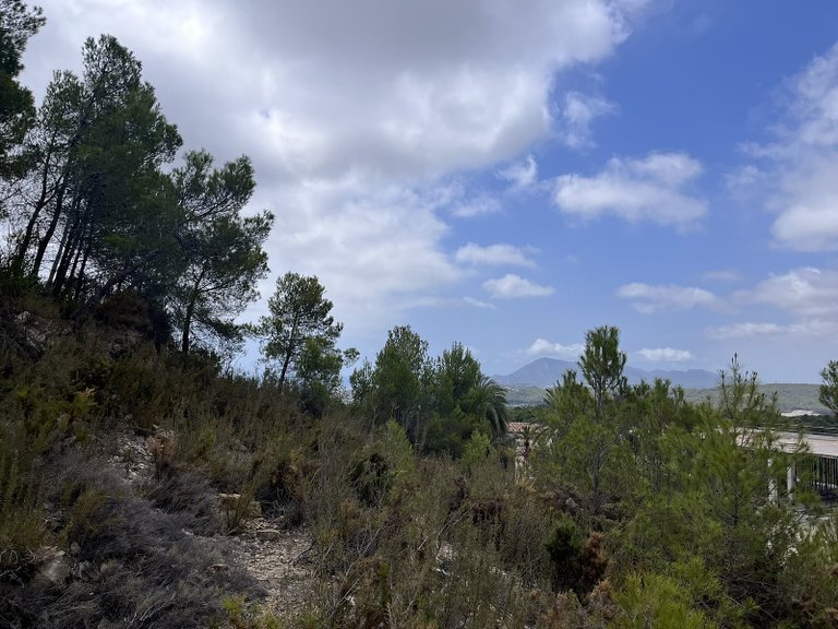 Plot for Sale in Altea, Alicante 4