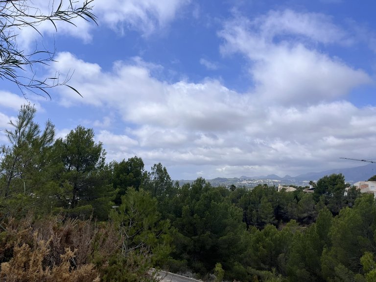Plot for Sale in Altea, Alicante 6