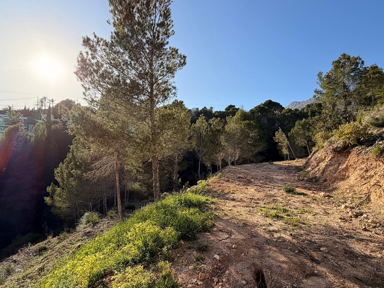 Plot for Sale in Altea, Alicante 7