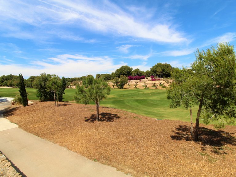 Apartment for Sale in Pilar De La Horadada, Alicante 21