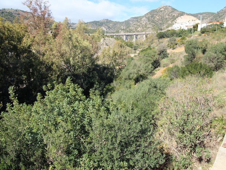 Plot for Sale in Benalmádena, Malaga 6