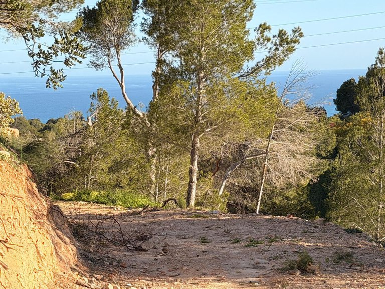 Plot for Sale in Altea, Alicante 4