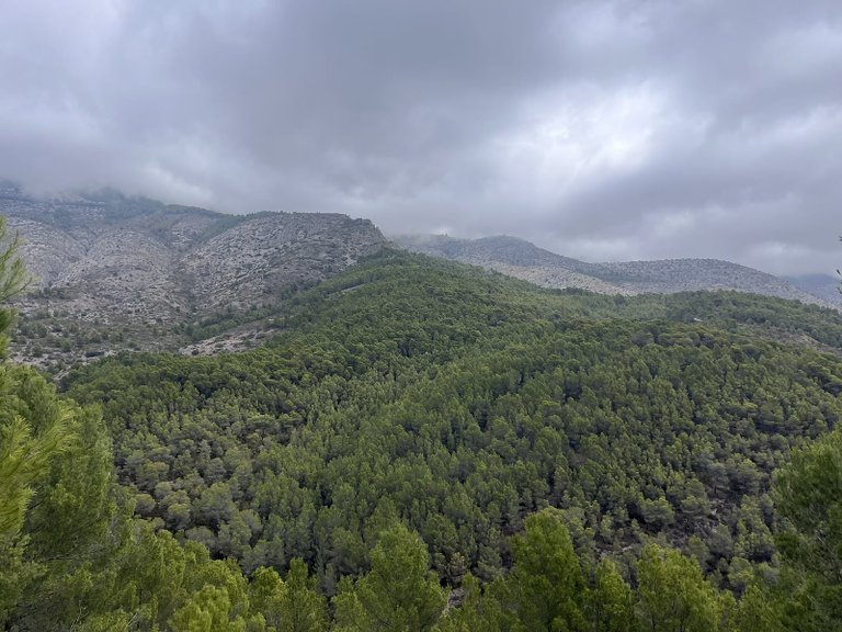 Plot for Sale in Altea, Alicante 8