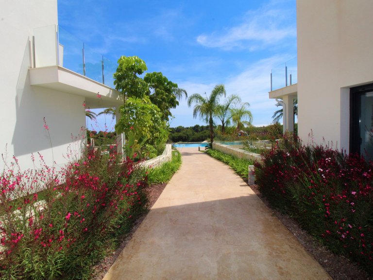 Apartment for Sale in Pilar De La Horadada, Alicante 13
