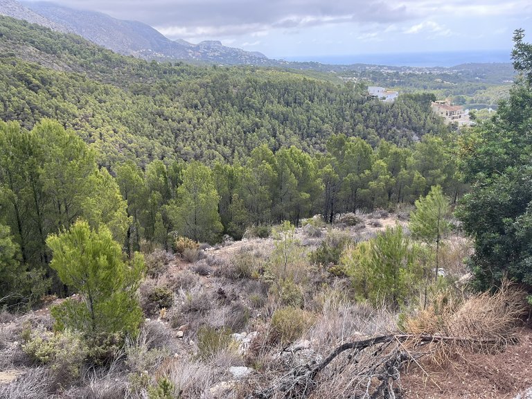 Plot for Sale in Altea, Alicante 18