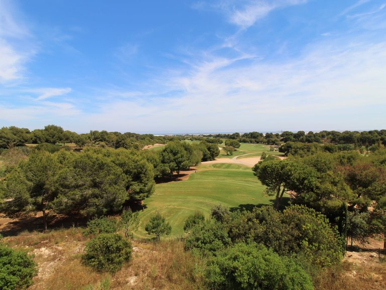 Apartment for Sale in Pilar De La Horadada, Alicante 8