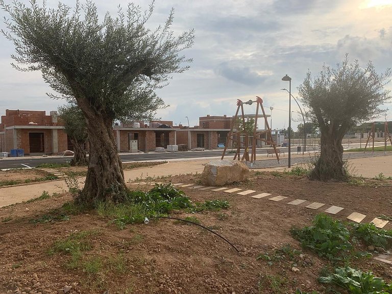 Town House for Sale in Torre-pacheco, Murcia 5