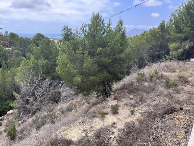 Plot for Sale in Altea, Alicante 23