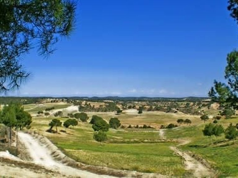 Town House for Sale in Pilar De La Horadada, Alicante 4