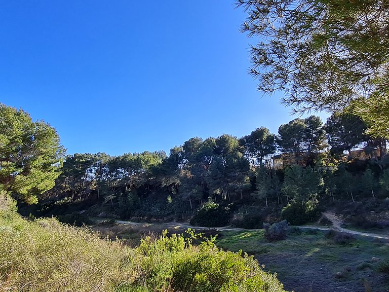 Town House for Sale in Pilar De La Horadada, Alicante 11