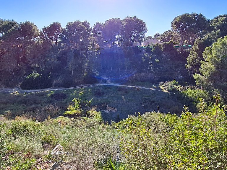 Town House for Sale in Pilar De La Horadada, Alicante 13