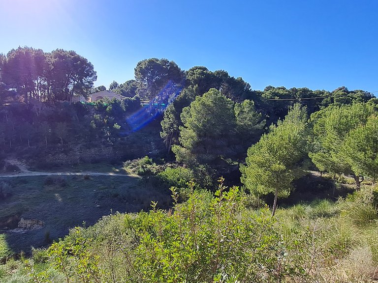 Town House for Sale in Pilar De La Horadada, Alicante 9