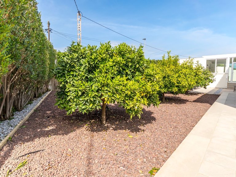 Villa for Sale in El Albir / L'albir, Alicante 15
