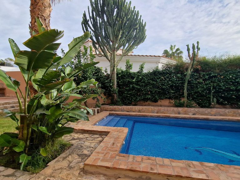 Villa for Sale in Playa Marina de la Torre (golf) Mojácar, Almeria 5