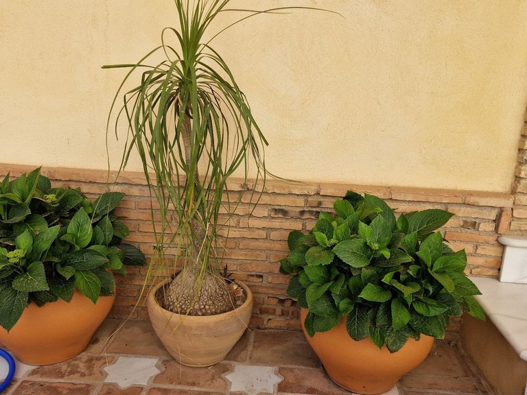 Villa for Sale in Pueblo Turre, Almeria 9