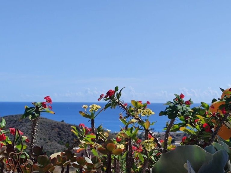 Apartment for Sale in Pueblo Mojácar, Almeria 5