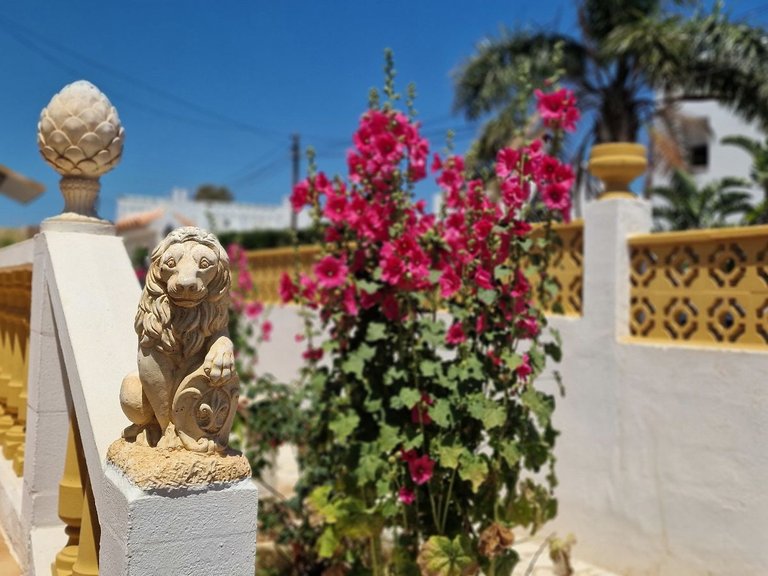 Villa for Sale in Playa El Palmeral Mojácar, Almeria 10