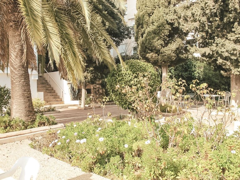 Apartment for Sale in  Baleares, Palma 12