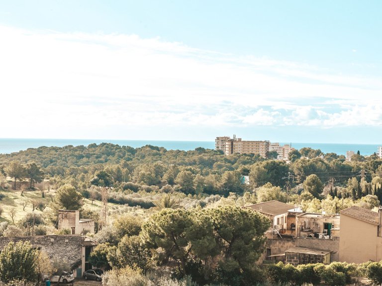 Apartment for Sale in  Baleares, Palma 2
