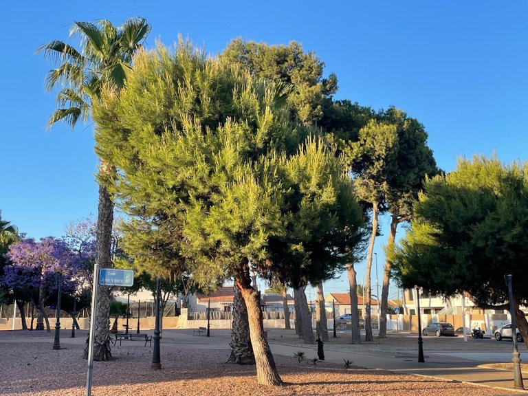 Apartment for Sale in San Pedro Del Pinatar, Murcia 40